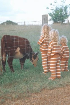 Salty Shreds Coastal Stripe Organic Knit Pullover - Groms -Salty Shreds Shop image 91f15d55 aa24 45a3 bffe 79f2e48e6284 1