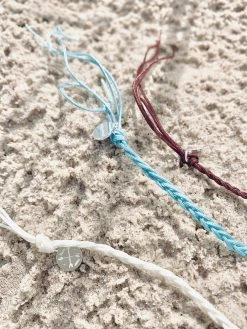 Salty Shreds Single Cowrie Shell Assorted -Salty Shreds Shop image bd84041a dd19 4466 b70b 384a4137f3e6